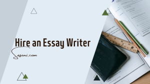 Essay Writing 