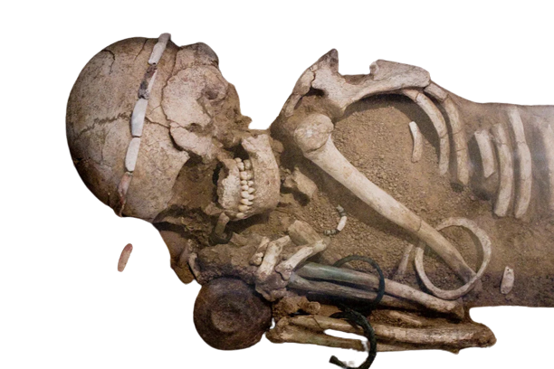 Archaeology Assignment Help Online