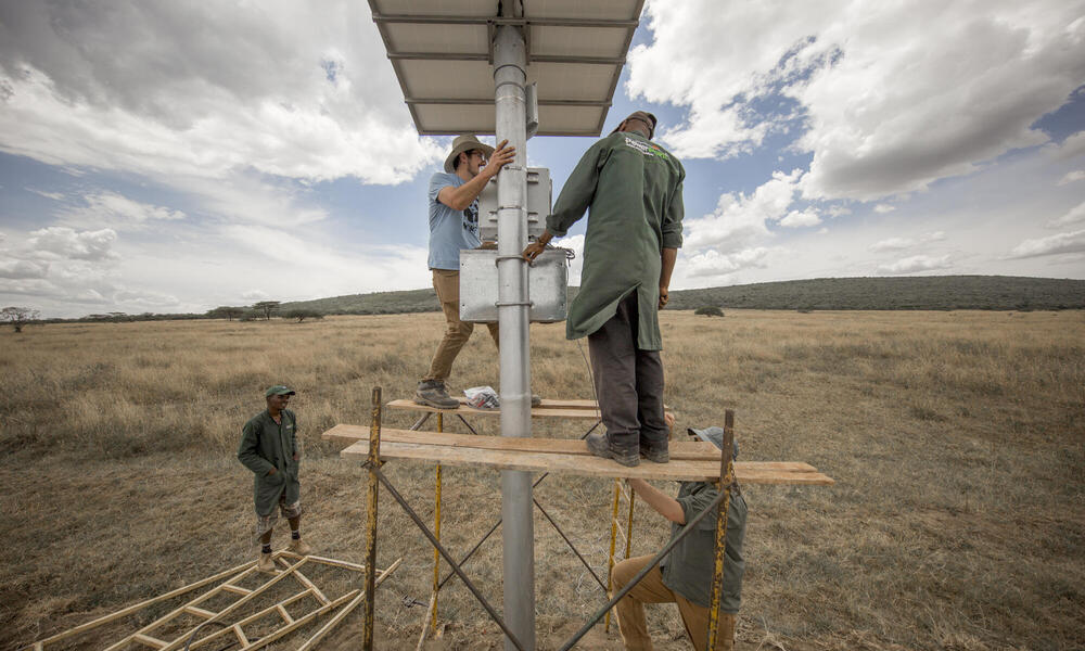 Starlink for forest watch and anti-poaching
